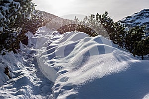 Zasněžené vrcholky hor a turistické stezky na slovensku tatra