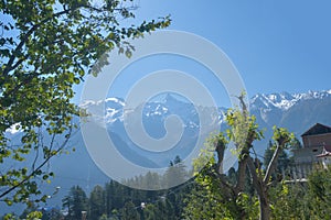 Snow covered mountain range against blue sky in the background with framing trees in the foreground