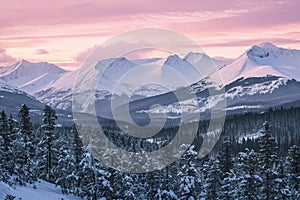 Snow-Covered Mountain Range at Sunset, A soft pink sunrise over snow covered mountains and valley filled with evergreens, AI