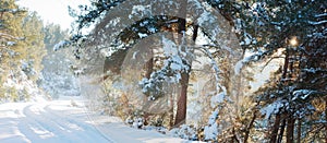 Snow covered mountain road