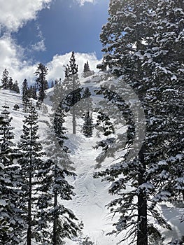 snow covered mountain slope in California