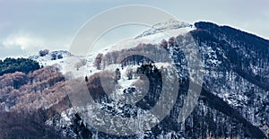 Snow covered mountain top