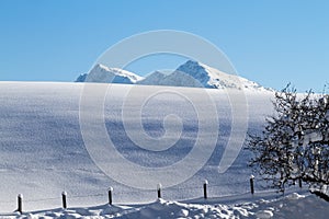 Snow covered mountain top in tirol