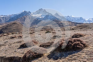 Snow Covered Mountains above the Desert