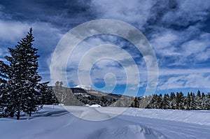 Snow covered mountains and forest at Island park Idaho