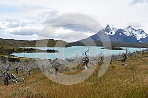 Snow covered mountains with the light blue ocean in front in Torres del Paine National Park in Chile, Patagonia