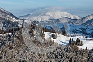 Snow-covered mountains overgrown with fir trees, with lonely wooden houses,