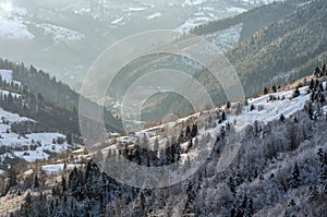 Snow-covered mountains overgrown with fir trees, with lonely wooden houses, illuminated by the sun.