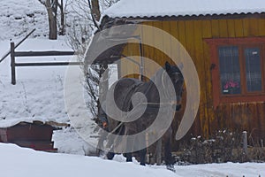 Snow covered mountains Ukraine village Carpathians