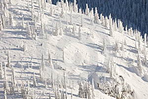 Snow Covered Mountainside photo