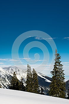 Snow covered mountaintops and trees