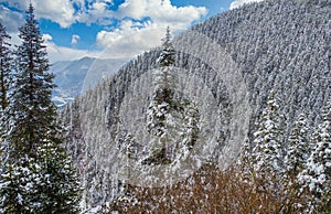 Snow covered mountian view