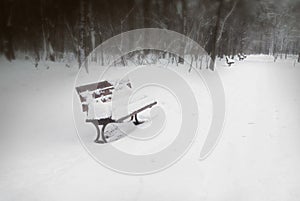 Snow Covered Park Bench