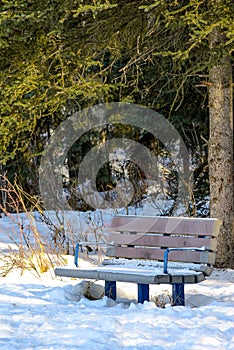 Snow Covered Park Bench in Winter