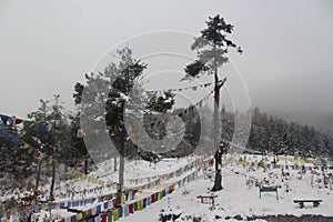 A snow covered park in Bhutan