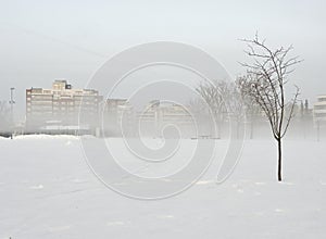 Snow-covered park with buildings in fog