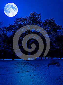 Snow covered park at midnight with a full moon