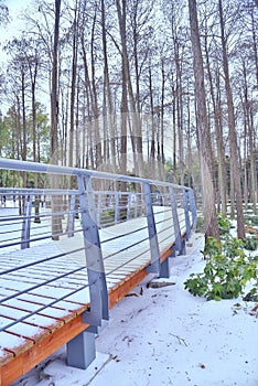 snow covered path