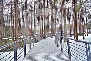 snow covered path