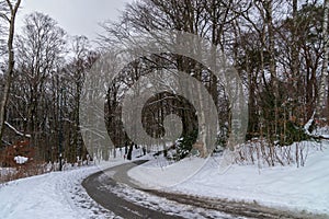 Snow-Covered Path through a Forested Park