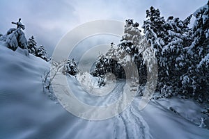 Snow covered path in mountain winter landscape, Wildermieming, TIrol, Austria