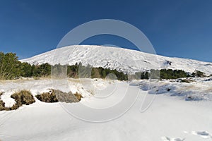 Snow Covered Path To Etna Mount, Sicily
