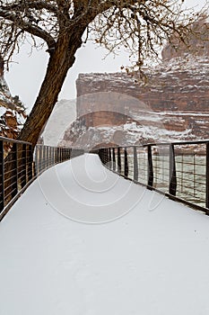 Snow Covered Path