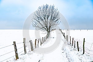 Snow covered path in winter with blue horizon