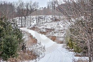 Snow Covered Pathway through Nature Conservancy photo