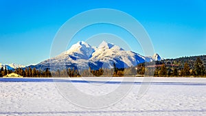 The snow covered peaks of the Golden Ears Mountain in the Fraser Valley of British Columbia, Canada