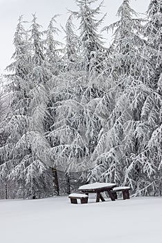 Snow covered picnic bench set with table