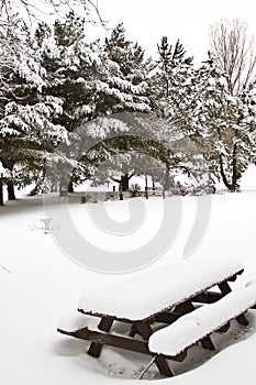 Snow Covered Picnic Table