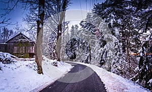 Snow covered pine trees and barn along a country road in rural C