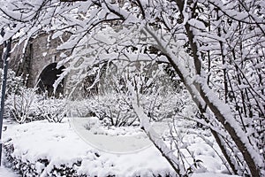 Snow-covered plants by the castle