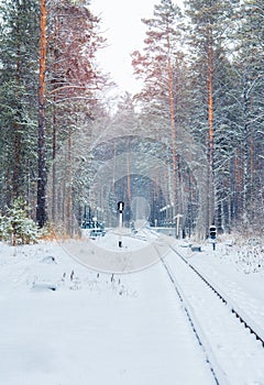 Snow covered railway station in beautiful winter forest. Winter lanscape with snowfall.