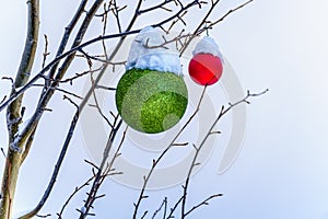 Snow covered Red and Green Christmas Decorations hanging on tree branches of a tree