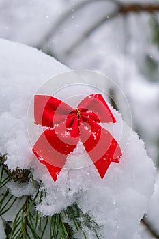 Snow covered red tied bow on fir branch on winter snowy background with copy space. Merry Christmas Happy New Year