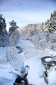 Snow covered river in a Wisconsin forest in January, vertical
