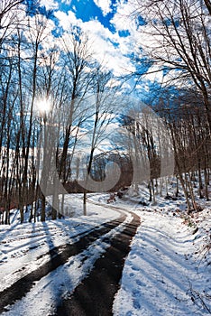 Snow covered road