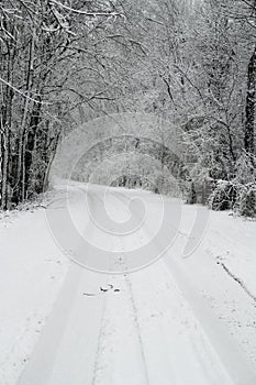 Snow Covered Road