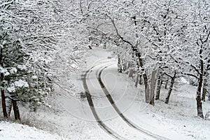 Snow Covered Road