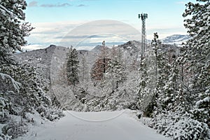 Snow Covered Road