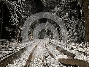 Snow Covered Road