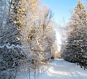 Snow-covered road