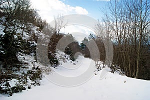 Snow-covered road