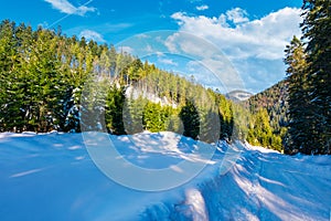 snow covered road downhill through spruce forest