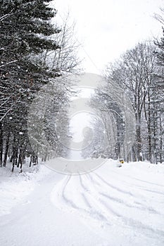 Snow covered road  in a February snowstorm in Wausau, Wisconsin, vertical