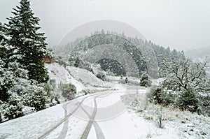 Snow Covered Road through Fir Tree Forest on a Cloudy Winter Day During Blizard. Bad Driving Conditions on the Snowy Mountain