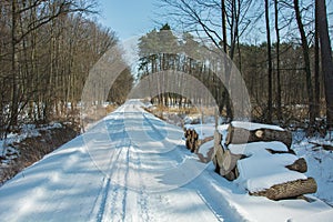 Snow-covered road through the forest