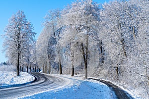 Snow covered road in the  forest